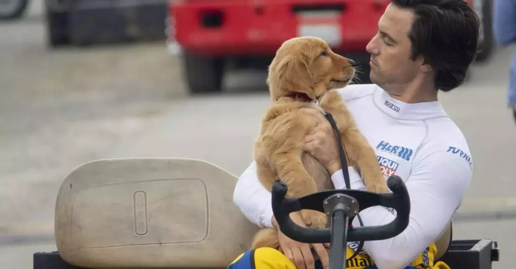 Sessão da Tarde hoje: Globo exibe “Meu Amigo Enzo” nesta segunda-feira (29/09) às 15h25